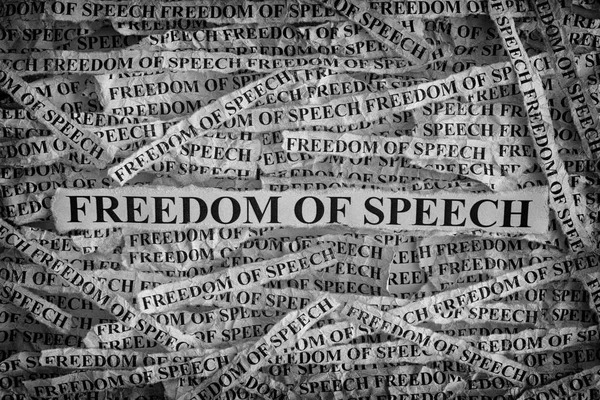 Torn pieces of paper with the words Freedom of speech — Stock Photo, Image