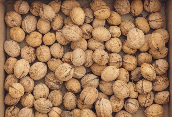 Fresh harvested walnuts in a box — Stock Photo, Image