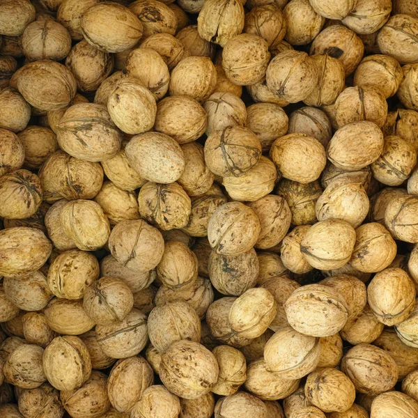 Heap of walnuts — Stock Photo, Image