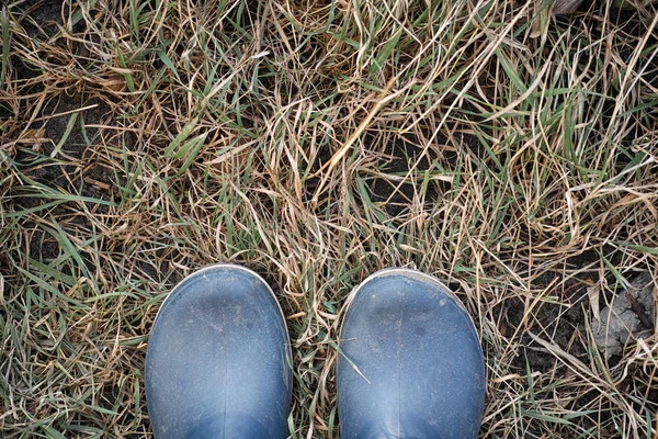 Person in Stiefeln steht auf altem Gras — Stockfoto