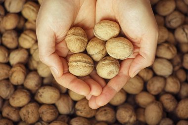 Elinde ceviz tutan kişi.