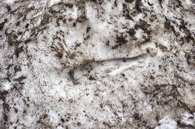 Kirli kar arka planı. Kapat..