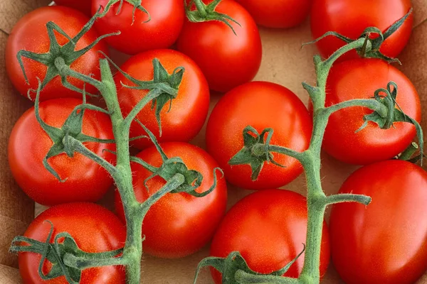 Tomates Cherry Recién Cosechados Una Caja Cartón Cerca —  Fotos de Stock