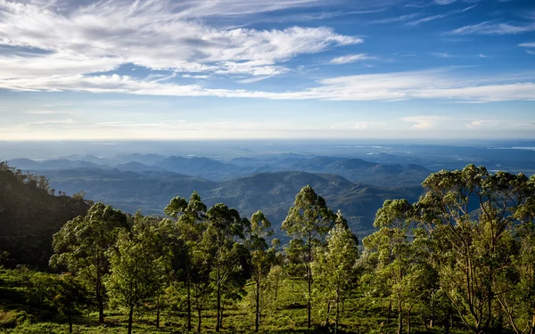 Lipton'ın koltuk - Dambetenna, Sri Lanka görünümünü