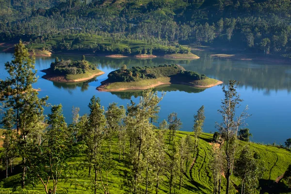 Castlereigh Reservoir und umgeben von Teeplantagen in sri lanka — Stockfoto
