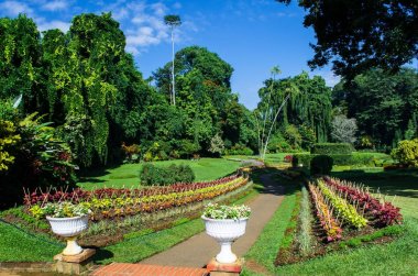 Botanik Garden Peradeniya, Kandy veya Kraliyet Botanik Bahçeleri