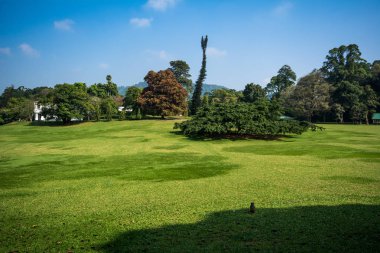 Botanik Garden Peradeniya, Kandy veya Kraliyet Botanik Bahçeleri