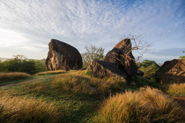 Vessagiri veya Issarasamanarama, Anuradhapura, Sri Lanka eski başkentleri kalıntıları parçasıdır eski bir Budist orman manastır olduğunu.