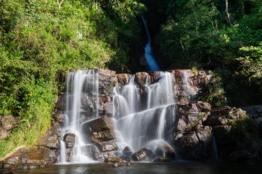 Saree Falls, Sri Lanka 'da, Knuckles Orman Koruma Alanı' nda bulunan pitoresk bir şelaledir..
