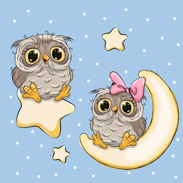 Valentine card cu Lovers Owls pe o lună și stea — Vector de stoc