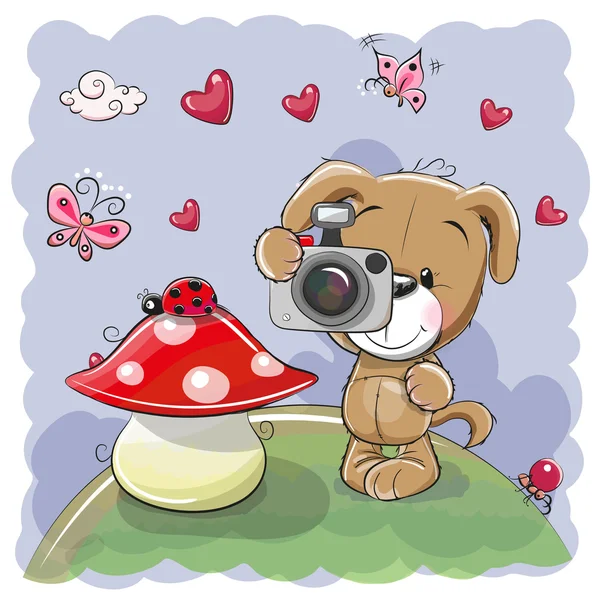 Schattige cartoon hond met een camera — Stockvector