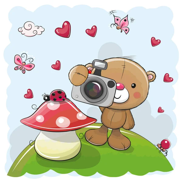 Cute cartoon Teddy Bear with a camera — Stock Vector