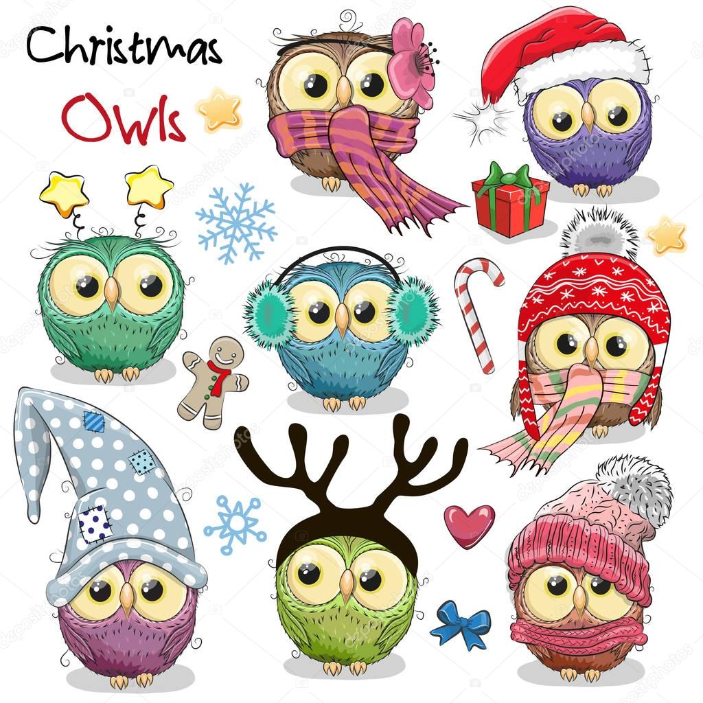 Set of Christmas owls on a white background