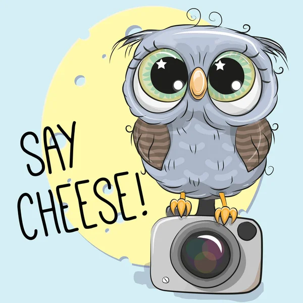 Cute Owl with a camera on a blue background — Stock Vector