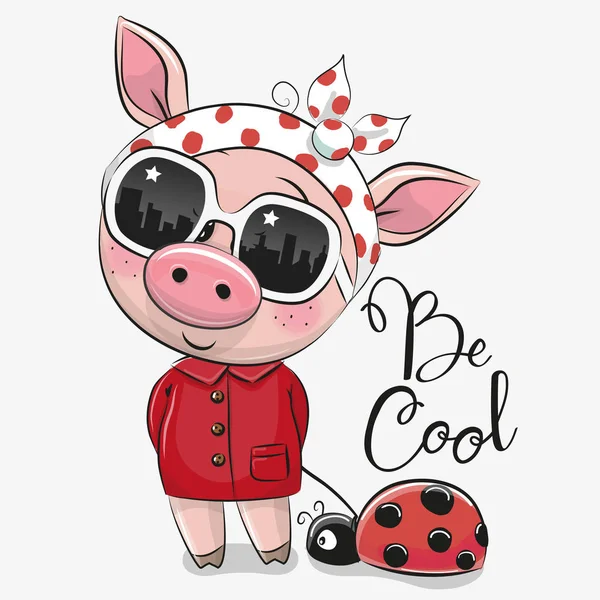 Lindo cerdo con gafas de sol — Archivo Imágenes Vectoriales