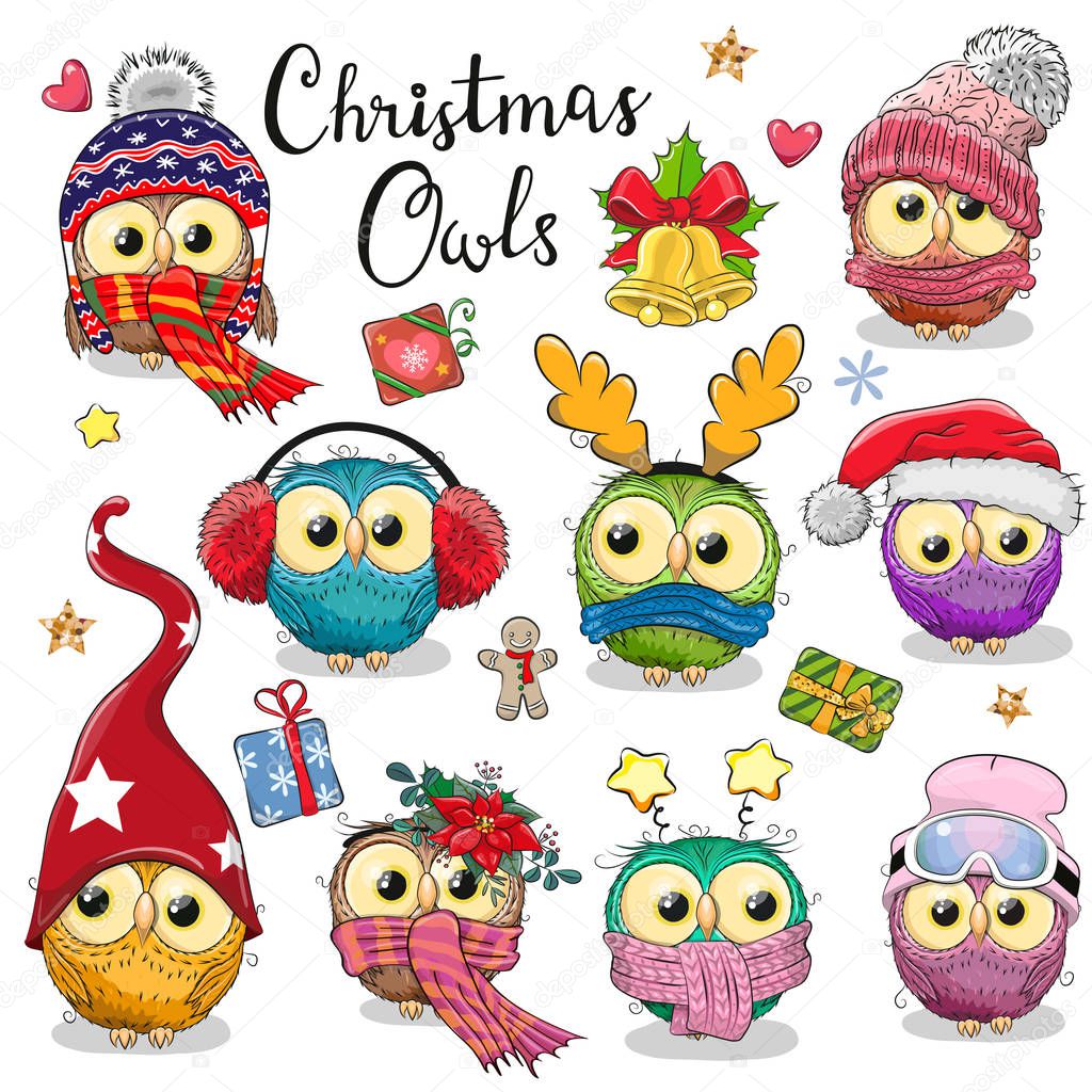 Cute cartoon Christmas owls on a white background