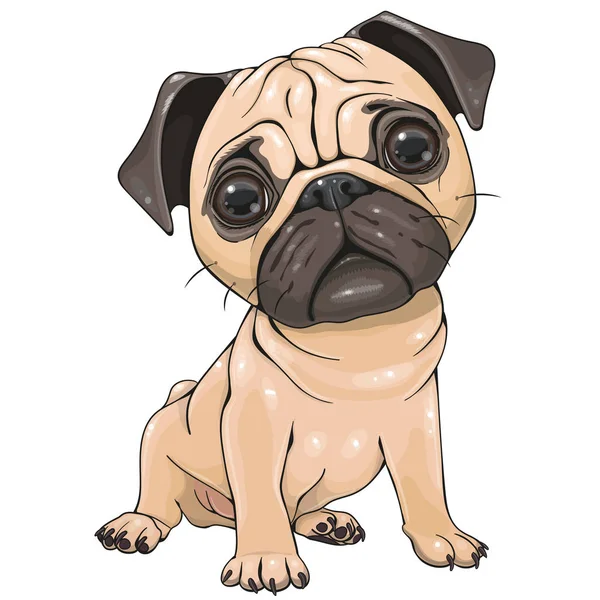 Çizgi film Pug Dog beyaz arka planda izole edildi