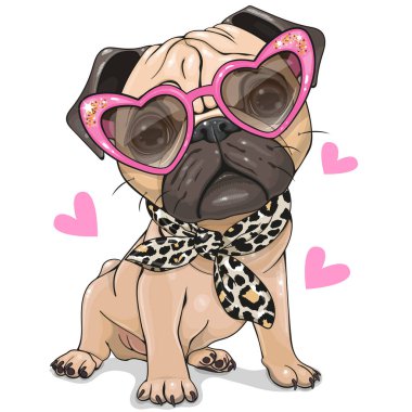 Pembe gözlüklü ve eşarplı Pug Dog.