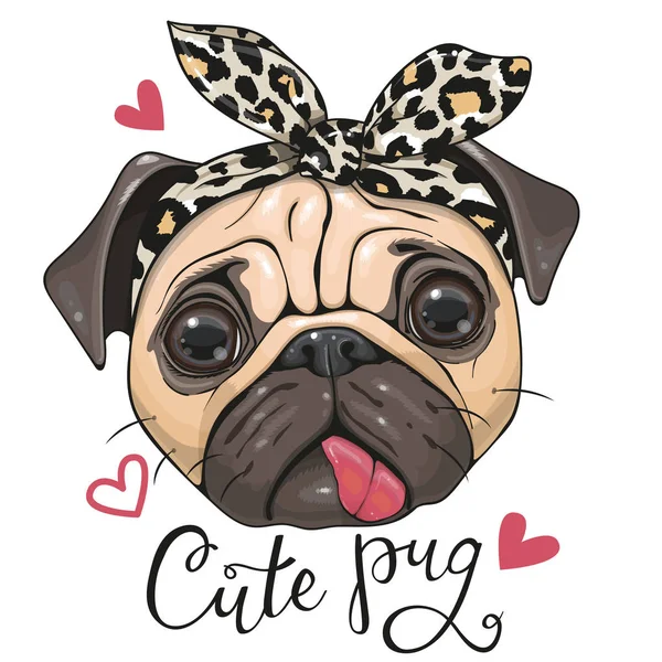 Cartoon Pug Dog in una sciarpa di leopardo — Vettoriale Stock