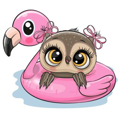 Havuzda yüzen sevimli çizgi film Bebek Baykuş şişme flamingoda