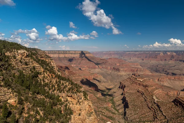 Le Grand Canyon en Arizona — Photo