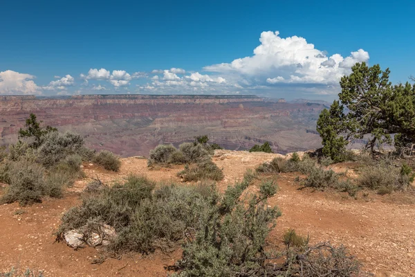 El Gran Cañón en Arizona — Foto de Stock