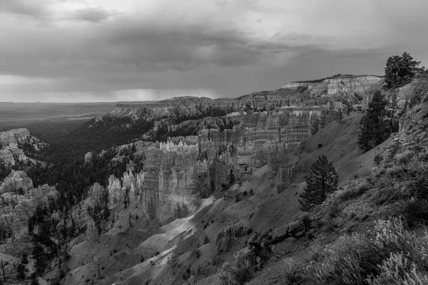 The Bryce Canyon in Utah — Stock Photo, Image