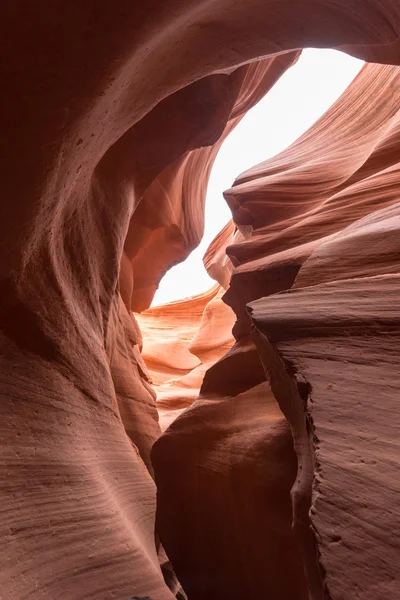 Die antilopenschlucht in arizona — Stockfoto