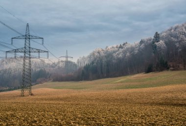 ormandaki bir güç hattı