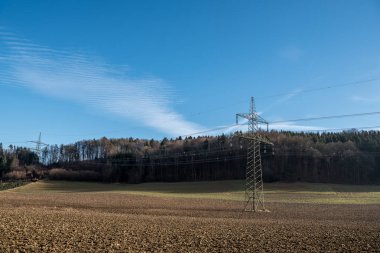 ormandaki bir güç hattı