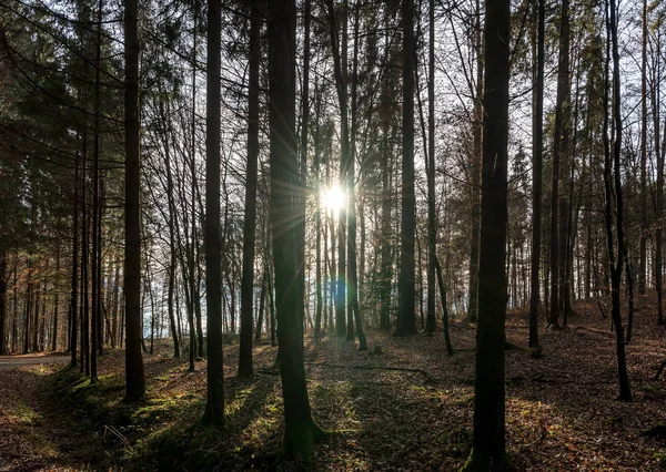 The beautiful Nature — Stock Photo, Image