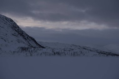 Senja güzel sahil Norveç'te