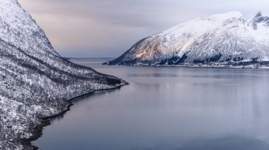 Senja güzel sahil Norveç'te