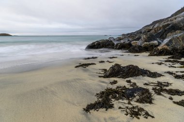 Senja güzel sahil Norveç'te