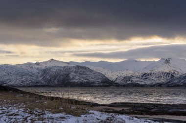 Norveç'te bir Fyord