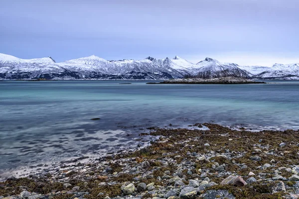 Den dejlige kyst Senja i Norge - Stock-foto