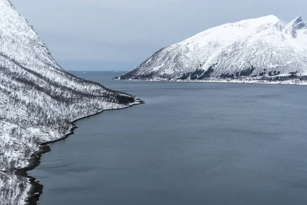 Красивое побережье Сенья в Норвегии — стоковое фото