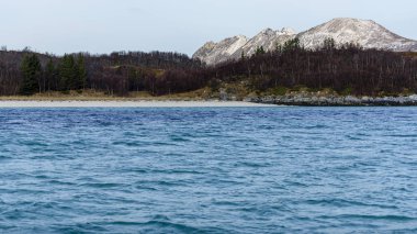 Norveç'te bir Fyord