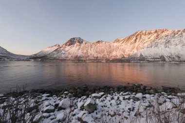 Norveç'te bir Fyord