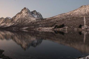 Norveç'te bir Fyord