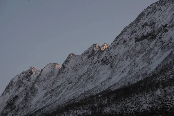 En viken i Norge — Stockfoto