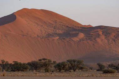 Dunes Sossusvlei içinde