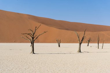 Namibya Deadvlei çölde