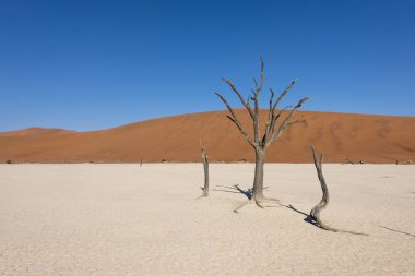 Namibya Deadvlei çölde