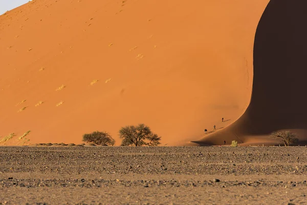 Las Dunas Sossusvlei —  Fotos de Stock