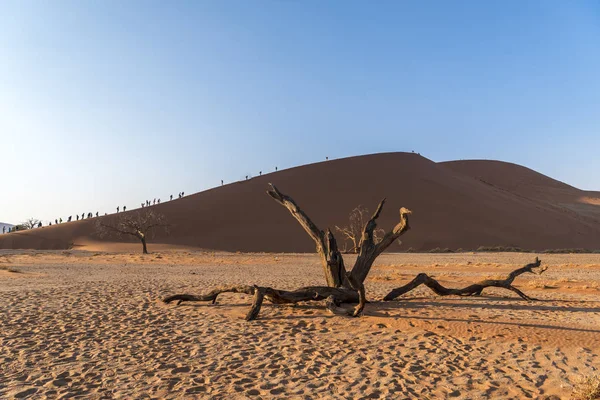 Las Dunas Sossusvlei —  Fotos de Stock