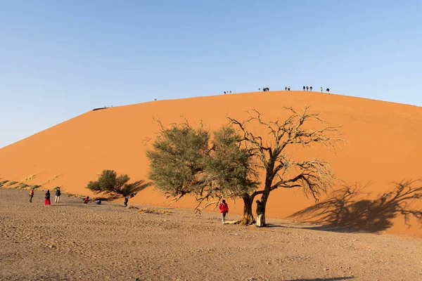 Las Dunas Sossusvlei —  Fotos de Stock