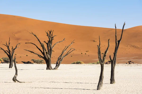 Namibya Deadvlei Çölde — Stok fotoğraf