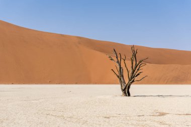 Namibya Deadvlei çölde
