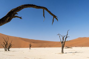 Namibya Deadvlei çölde